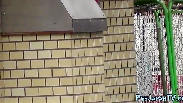 Excited Japanese Doll Peeing In Public For Thrills & Fun