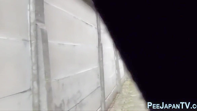 Curious Crowd Watches Japanese Beauty's Steamy Public Squirt Show!