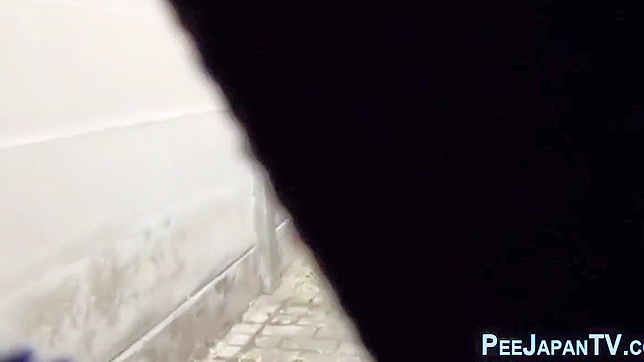 Curious Crowd Watches Japanese Beauty's Steamy Public Squirt Show!