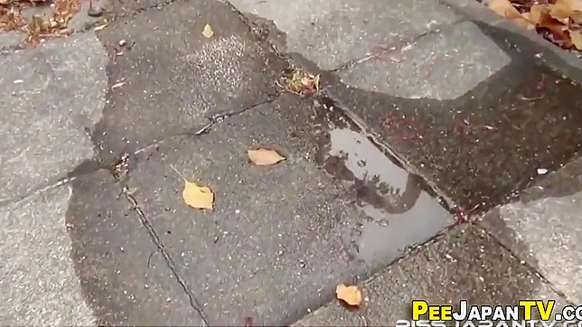 Seductive Japanese Beauty Explores Steamy Piss Play Fantasies