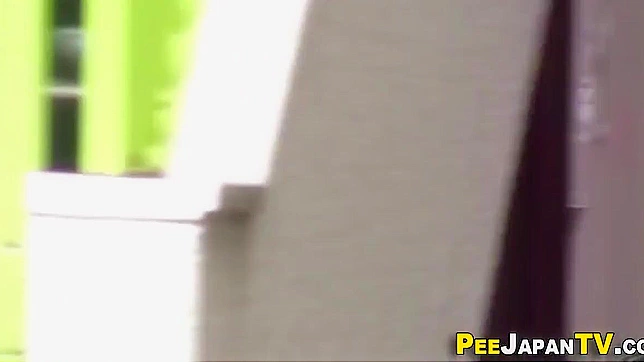 Bizzare Japanese Sex Fantasies Unleashed With Wet Asians