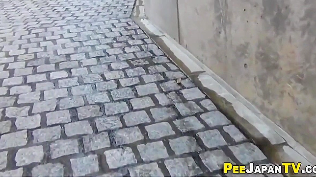 Adorable Asians Piss Together Outdoors Fantasies Realized
