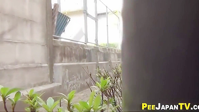 Adorable Asians Piss Together Outdoors Fantasies Realized