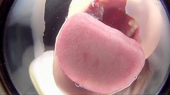 Steamy Japanese Temptation - Secrets Unveiled, Desire Ignited