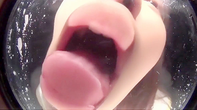 Steamy Japanese Temptation - Secrets Unveiled, Desire Ignited