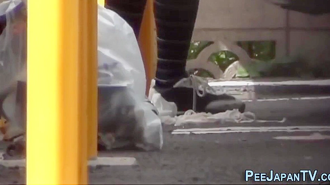 Lustful Japanese Beauties Urinate Passionately Outdoors