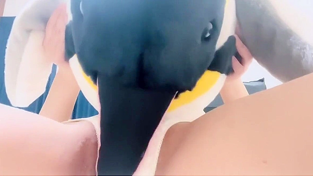 Horny Japanese Cutie Falls Hard For Virile Western Stud's Gifted Cock
