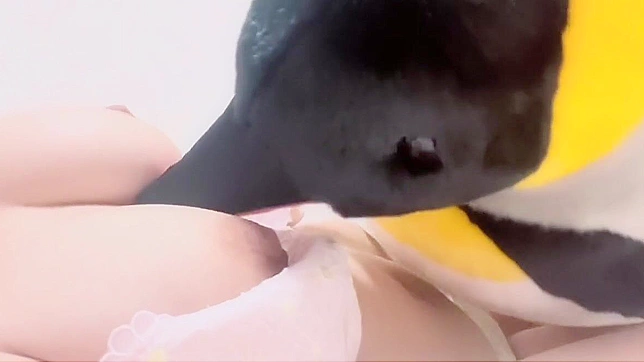 Horny Japanese Cutie Falls Hard For Virile Western Stud's Gifted Cock