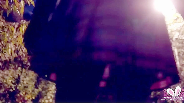 Japanese Sex Heaven - Exclusive Naughty Videos Just For You