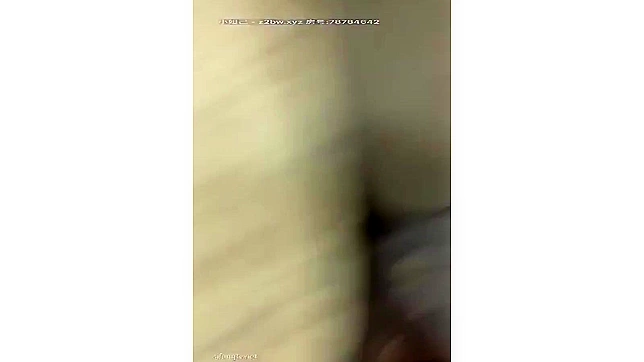 Seductive Japanese Babes In Lingerie Engage In Hot Sex Acts