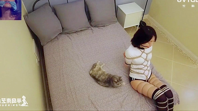 Blissful Japanese Beauty Bound And Fucked Hardly