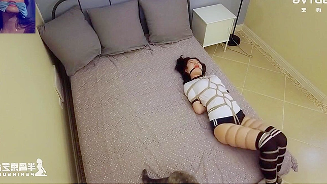 Blissful Japanese Beauty Bound And Fucked Hardly