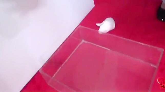 Japanese Women Wet Themselves In Revealing Outfits For Pleasure Show