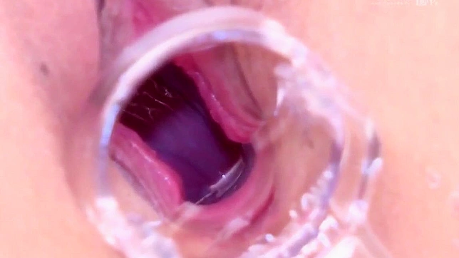 Maria Sasaki's Wet Pussy Gets Fucked Hard By Her Japanese Lovers