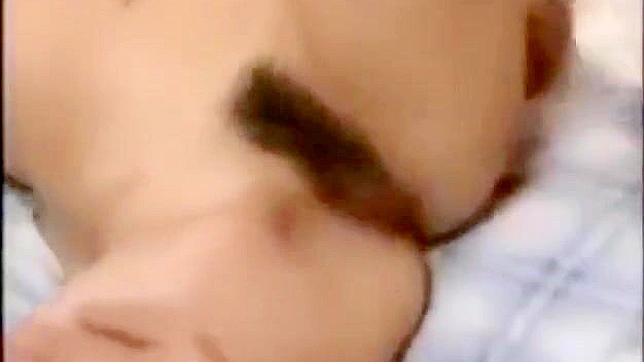 Heated Reverse Threesome Ends In Explosive Passions And Climax.