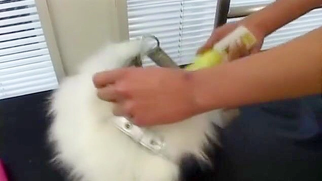 Seductive Japanese Babe Explores Pleasure Toys Deeply