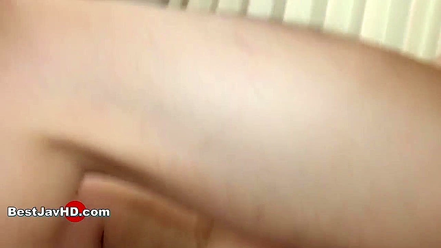 Furry Coochie Toys Bring Ecstasy in Blowjob Creampie Soirée XXX