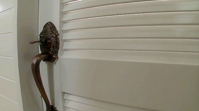 Nana Ayano Charms Him With Hot Mouth & Tight Wet Pussy Showdown