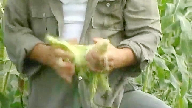 Sensual Milf Enjoys Passionate Fuck Amidst Rustic Rice Fields