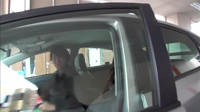 Teen amateur Kokoro Haiya masturbates inside a car