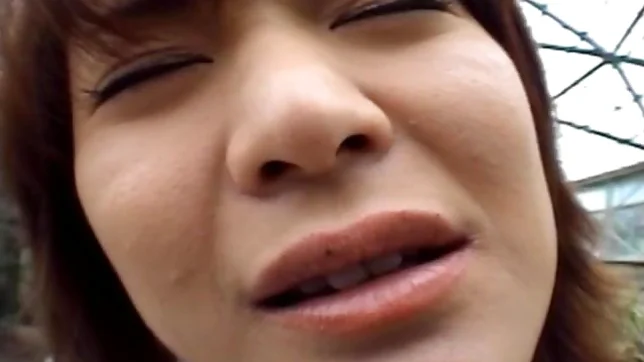 Saki Amamiya Naughty and hot Asian doll gives a blowjob outside