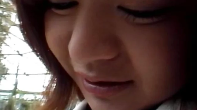 Saki Amamiya Naughty and hot Asian doll gives a blowjob outside