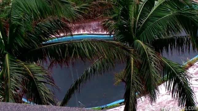 Sultry Erika Kitagawa Gives A Blowjob And Tit Fuck Outdoors