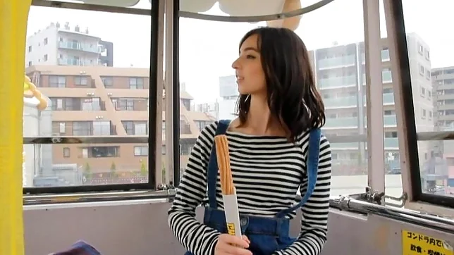 Sexy babe Karina Nishida gets rammed seriously 3