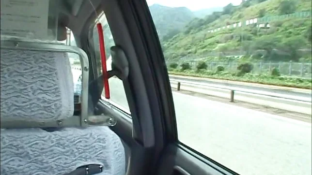 Hagiwara Mai has her cunt drilled