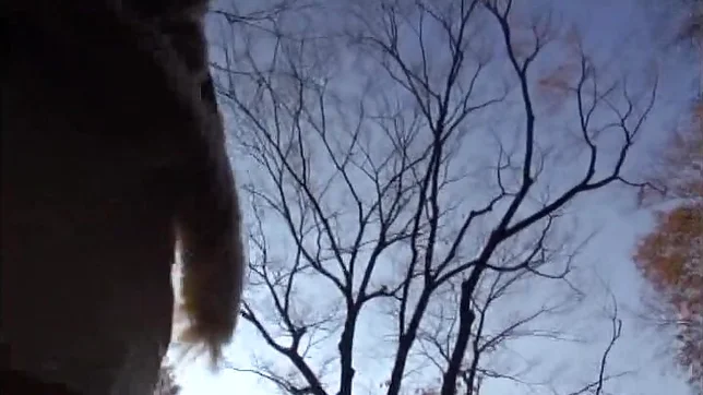 Petite babe Iku Sakuragi sucks and strokes a cock 2