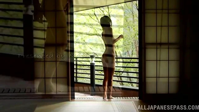 Sexy japanese model Risa Mizuki enjoys hardcore