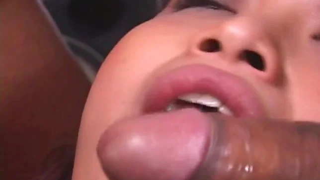 Moe Ooishi Naughty Asian babe Gets Her Pussy Fucked Hard