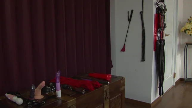 Hot Japanese babes pleasing each other with lesbian play