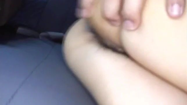 Miyo Kasuge Naughty Asian babe Sucks Cock In A Car 2