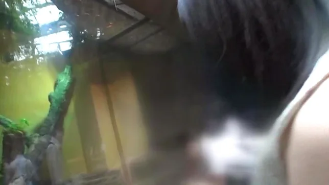 POV scene involving hot Asian teen getting fucked 7