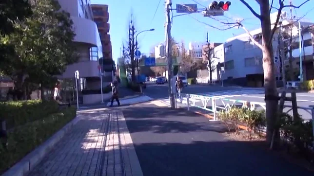 Gorgeous chick loves getting screwed by a large cock 6