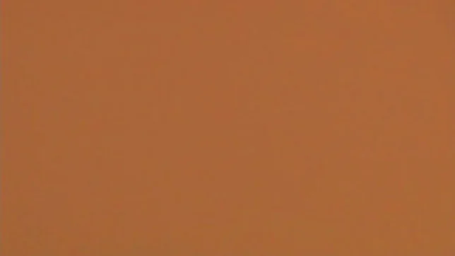 Playful Japanese AV model Ayumi Hasegawa shows off her big tits